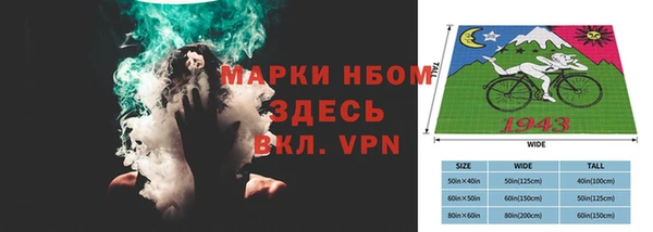 стафф Алексин