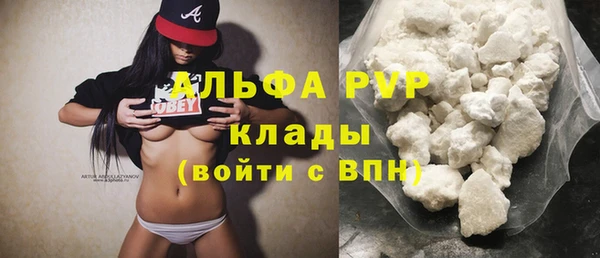 стафф Алексин