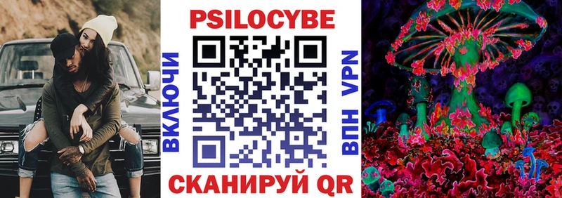 Купить  Сочи  Галлюциногенные грибы Psilocybine cubensis 